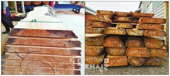 2022.3 [언론보도] [ 목재신문 2022.3.4 ] 수입 어렵다던 레바논産 백향목 수입됐다 5.jpg