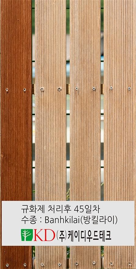 2019.5 [테스트] 시우 SIOO 규화재 야외노출 시험 ( 45일간 ) 9.jpg