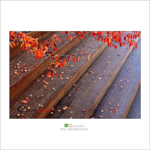 2011.8 [시공갤러리] 운동장스탠드(간성초) 5.jpg