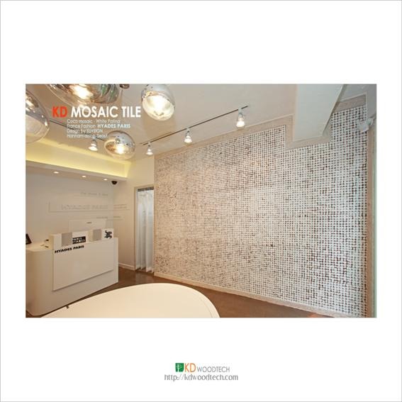 2011.11 [시공갤러리] 패션샵 [HYADES 파리] 아트월 시공 6.jpg