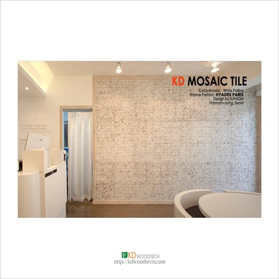 2011.11 [시공갤러리] 패션샵 [HYADES 파리] 아트월 시공 4.jpg