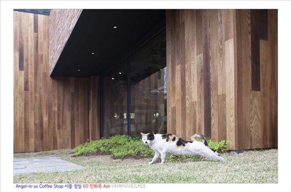 2017.4 [시공갤러리] 엔젤리너스 커피숍 KD 탄화목 시공 36.jpg