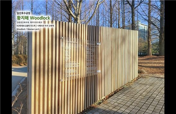 2025.2 [시공갤러리] [ 우드블럭,시베리안라치 ] 목재보도블럭,시베리안라치 규화목 일산호수공원의 황지해 정원 (10달 경과후 2025 2.20 일 현재 ) 6.jpg